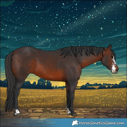 Horse Color:Brown Sabino 