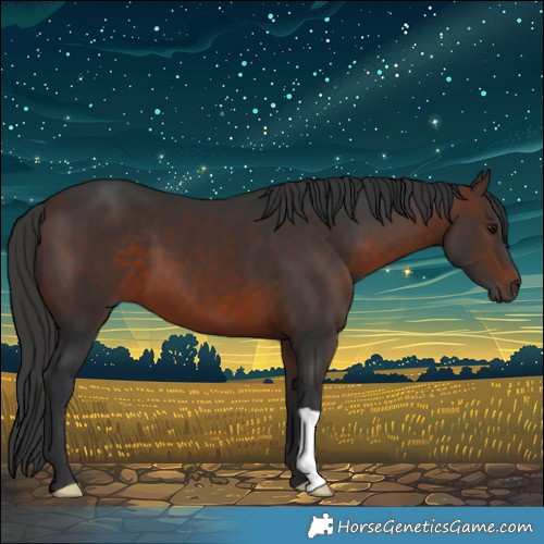 Horse Color:Brown 