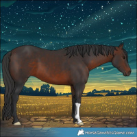 Horse Color:Brown 