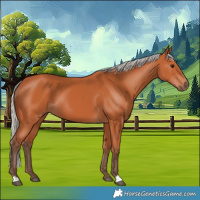 Horse Color:Silver Bay 