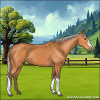 Horse Color:Silver Bay 
