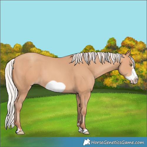 Horse Color:Silver Amber Champagne Frame