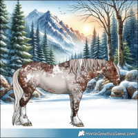 Horse Color:White Spotted Silver Brown Ice 