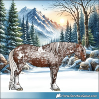 Horse Color:White Spotted Silver Brown Ice 