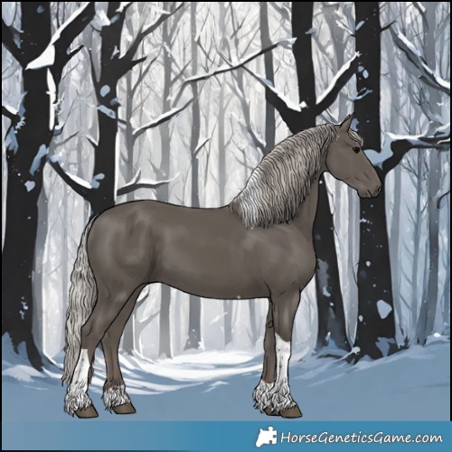 Horse Color:Silver Black Tobiano 