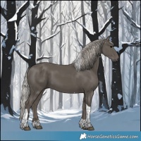 Horse Color:Silver Black Tobiano 