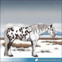 Horse Color:Silver Brown Tobiano Near Leopard 