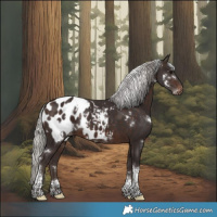 Horse Color:White Spotted Silver Brown Tobiano Appaloosa 