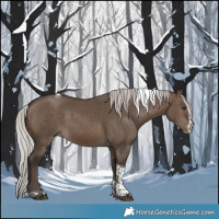 Horse Color:Silver Brown Dun Sabino Tobiano 