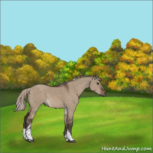 Horse Color:Silver Brown Dun Sabino Tobiano 
