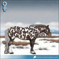 Horse Color:White Spotted Silver Brown Tobiano Appaloosa 