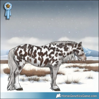 Horse Color:White Spotted Silver Brown Tobiano Appaloosa 