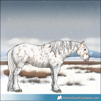 Horse Color:White Spotted Silver Brown Dun Tobiano Leopard 