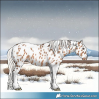 Horse Color:White Spotted Silver Brown Dun Tobiano Appaloosa 