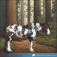 Horse Color:White Spotted Brown Blanket 