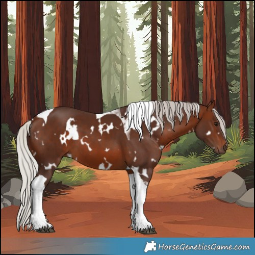 Horse Color:White Spotted Silver Brown Tobiano 