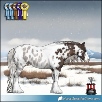 Horse Color:White Spotted Silver Brown Tobiano Appaloosa
