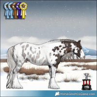 Horse Color:White Spotted Silver Brown Tobiano Appaloosa