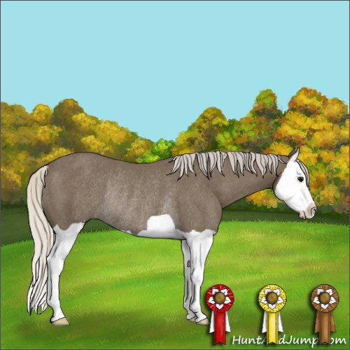 Horse Color:Silver Smoky Black Splash Rabicano 
