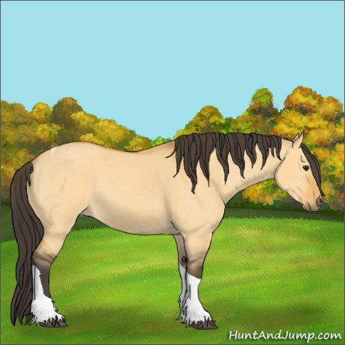 Horse Color:Buckskin Dun Tobiano