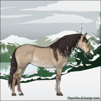 Horse Color:Liver Red Dun Tobiano