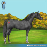 Horse Color:Black Tobiano Varnish Rabicano 