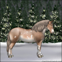 Horse Color:White Spotted Liver Chestnut Pearl Tobiano 