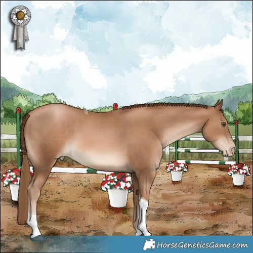 Horse Color:Liver Chestnut Pearl Tobiano 