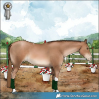 Horse Color:Liver Chestnut Pearl Tobiano 
