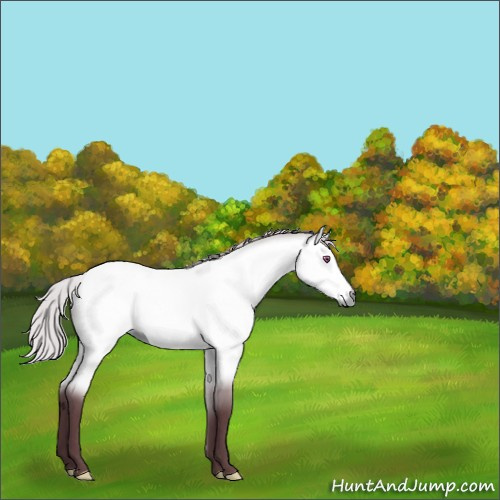 Horse Color:Chocolate Silver Bay Chinchilla Dun 