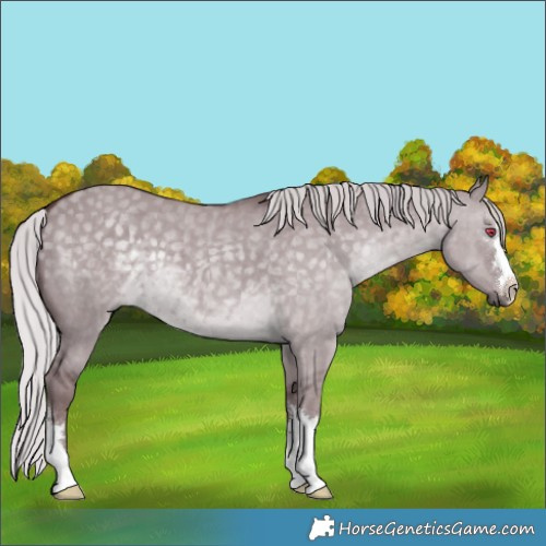 Horse Color:Chocolate Silver Grullo Chinchilla 