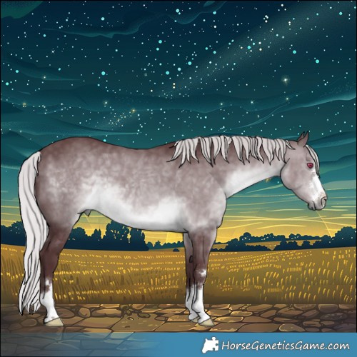 Horse Color:Chocolate Silver Brown Chinchilla 