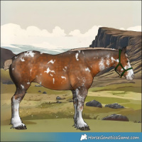 Horse Color:White Spotted Chocolate Palomino 