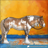 Horse Color:White Spotted Chocolate Palomino Sabino 
