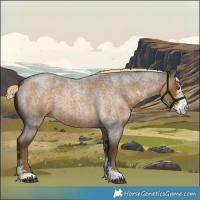 Horse Color:Chocolate Palomino Roan Sabino 