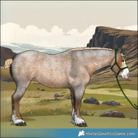 Horse Color:Chocolate Palomino Roan Sabino 