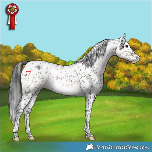 Horse Color:Brown Sabino 