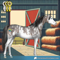 Horse Color:Brown Sabino Splash Rabicano 