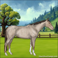 Horse Color:Classic Champagne Roan Tobiano 