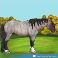 Horse Color:Bay Roan Rabicano