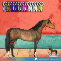 Horse Color:Buckskin Rabicano