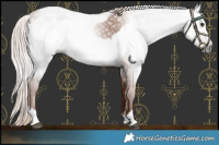 Horse Color:Gray Chestnut and Gray Chestnut Frame