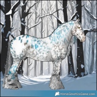 Horse Color:Brown Dun Tobiano Blanket 