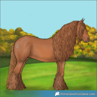 Horse Color:Chestnut 