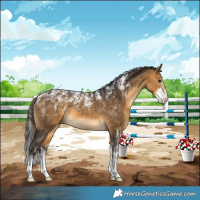 Horse Color:Powder White Buckskin 