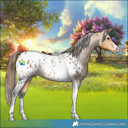 Horse Color:Buckskin Tobiano Appaloosa Rabicano 