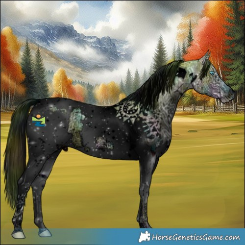 Horse Color:ERROR: UNKNOWN ANOMALY