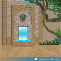 Horse Color:White Spotted Brown