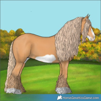 Horse Color:Chestnut Frame 