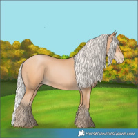 Horse Color:Silver Bay Pearl